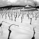 STAGIONI. Inverno. Apnea apparente di un respiro incessante.