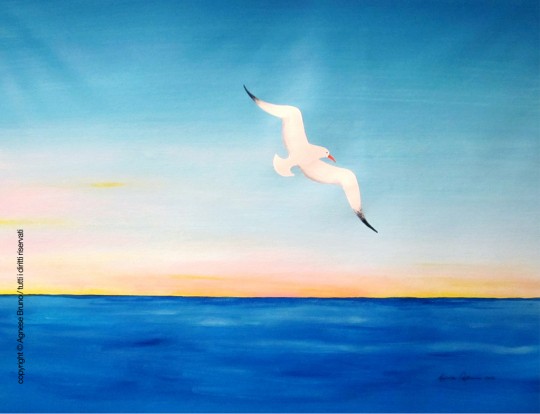 volo così / acrilici su tela / cm 65x50x4 / agosto 2012