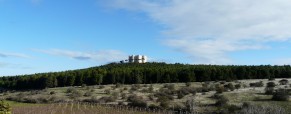 Dalla terra amica di Castel del Monte, 50 anni fa un farmaco anticancro