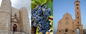 Da Castel del Monte e Trani attraverso le vie del vino