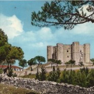 A.A.A. Cartoline di Castel del Monte cercasi